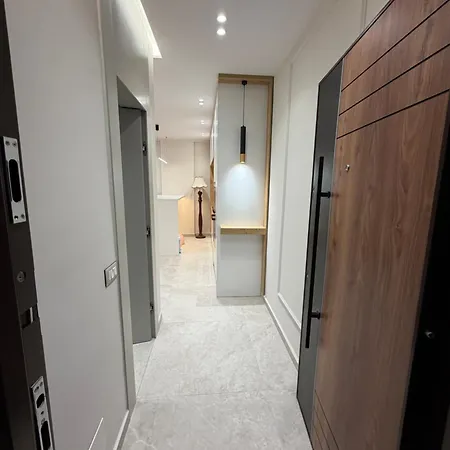 Albi Appartement *